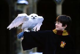 images-10 HARRY POTTER HEDWIG'S THEME  