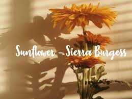 download-17 Sunflower - Sierra Burgess OST 