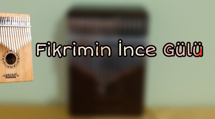 maxresdefault-17-702x390 Fikrimin İnce Gülü 