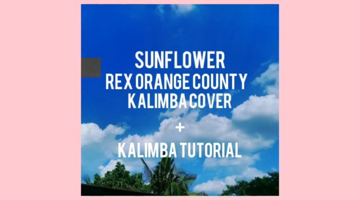 maxresdefault-2020-04-20T195526.368-702x390 SUNFLOWER - REX ORANGE COUNTY 