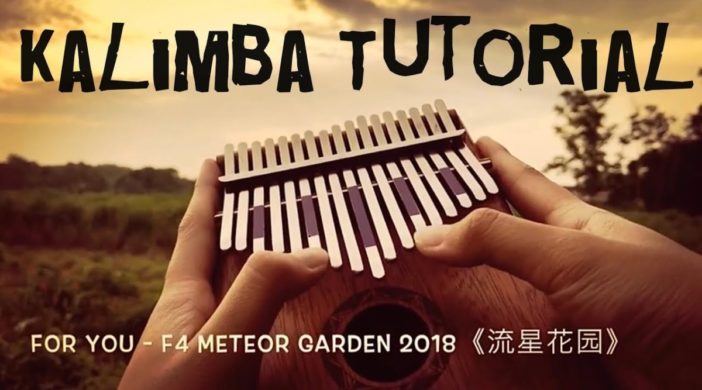 maxresdefault-2020-04-23T113053.686-702x390 FOR YOU — F4 Meteor Garden 