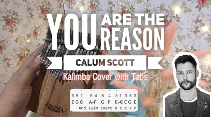 You Are The Reason Intermediate Kalimba Tabs You are the reason calum scott You Are The Reason