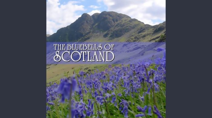maxresdefault-2020-05-20T193026.537-702x390 Blue Bells of Scotland (Easy) 
