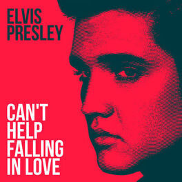 264x264 Can't help falling in love 