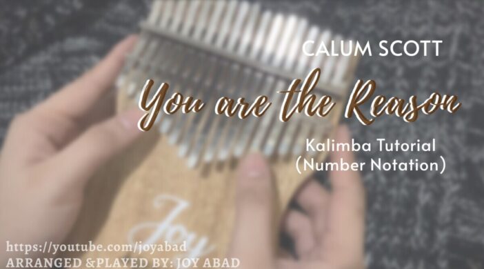 F53AE548-86AC-43AA-AA85-A1B031B5DE09-702x390 YOU ARE THE REASON 