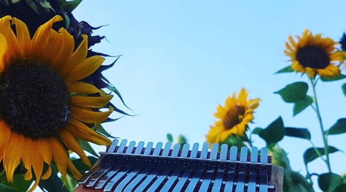 IMG_20200802_214009_412-702x390 Sunflower by Rex Orange County 