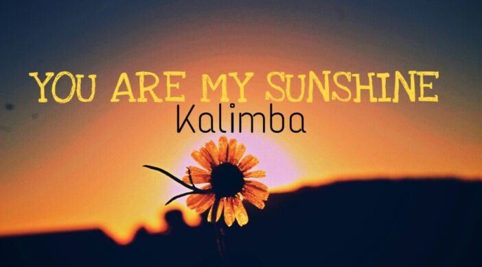PicsArt_08-07-08.39.55-702x390 YOU ARE MY SUNSHINE  