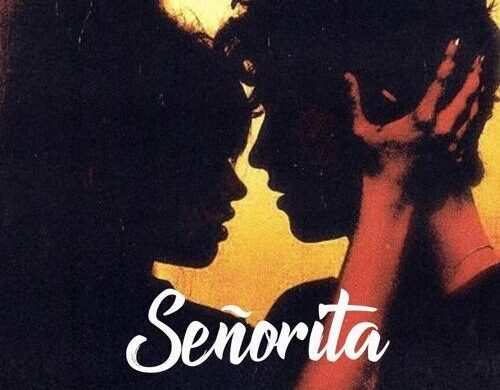 images-8-500x390 Señorita Easy Kalimba Tabs 
