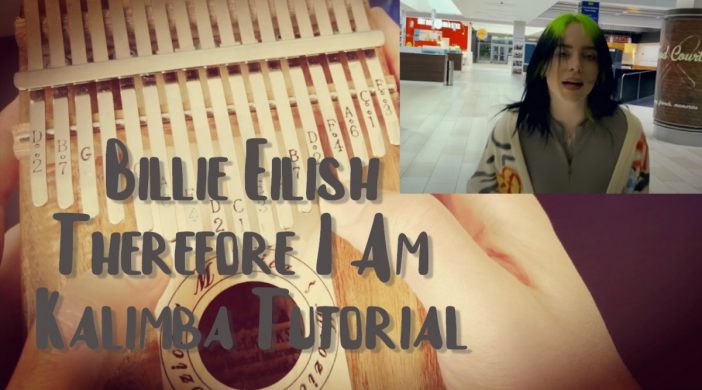 billieeilish-9e5753c6-702x390 Billie Eilish - Therefore I Am  