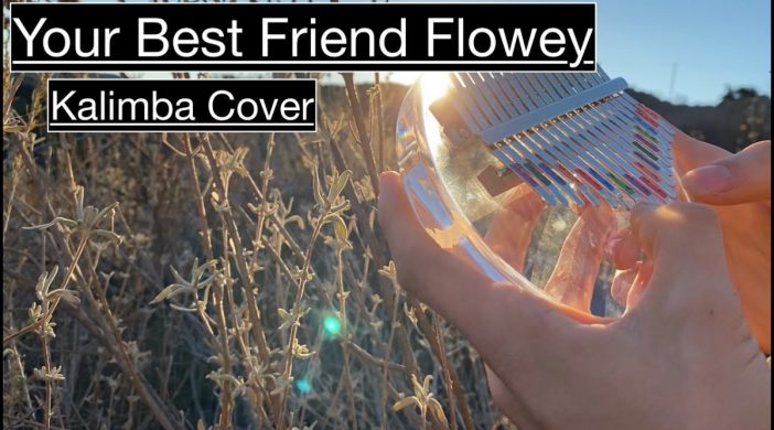 maxresdefault-2020-12-25T143716.173-b273a6d9-702x390 Your Best Friend Flowey - Undertale 