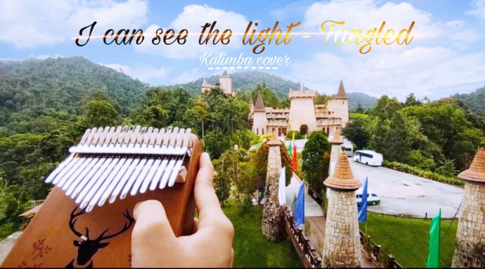 IMG_0392-a455849f-702x390 I see the light - Tangled 