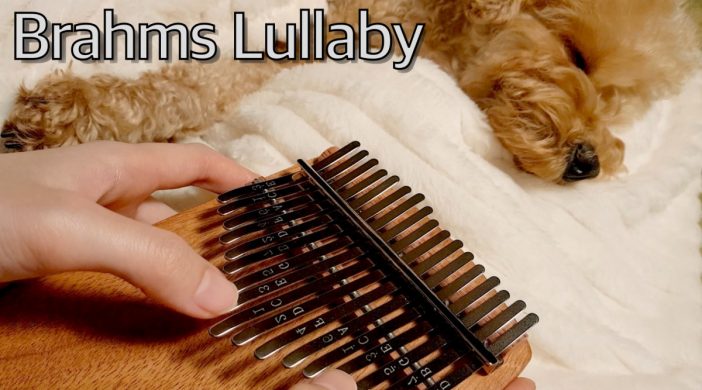 5043A3A1-13E8-4E66-AE31-18279DB00A5E-98087975-702x390 Brahms Lullaby  