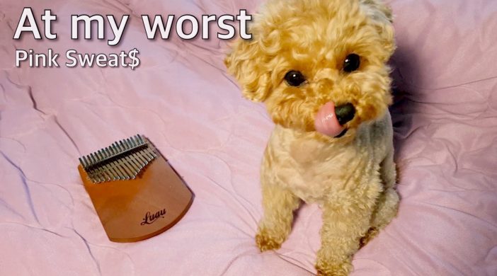 888E6B83-B9EE-4900-9ACD-279CCD2DF351-cab4c329-702x390 Pink Sweat$, At my worst 
