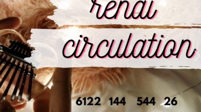Annotation-2021-03-24-121445-302db90d-702x390 Renai Circulation 