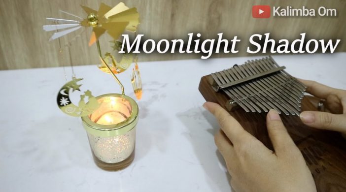 maxresdefault-2021-03-13T200404.120-67892fe3-702x390 Mike Oldfield - Moonlight Shadow 