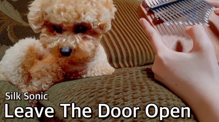 3B05012F-E9C0-4B01-A6C4-59508AF59571-41131df3-702x390 Silk sonic, Leave the door open 