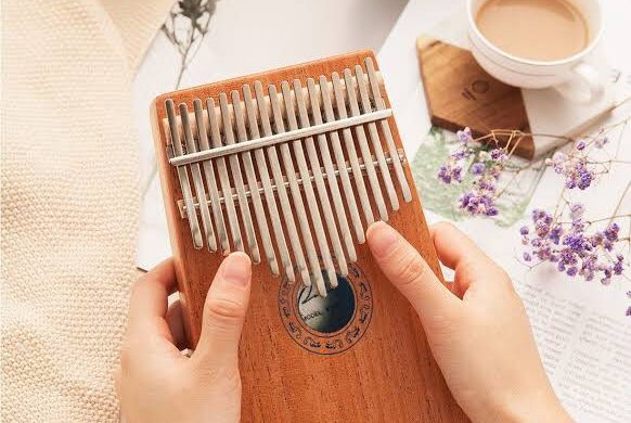 9613AEEE-AA38-4051-9BC4-ECC52E627435-3fd490f8-582x390 KALIMBA’S GIFTS 