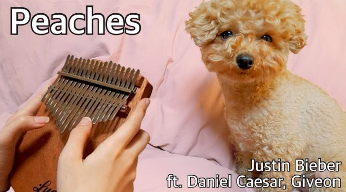 F10C0429-1529-48D3-B950-EF8AFB1FAA5D-b273b300-702x390 Peaches, Justin Bieber ft. Daniel Caesar, Giveon 