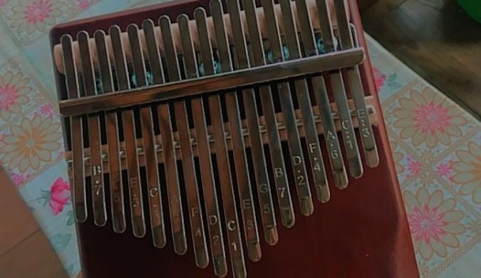 IMG_20210410_110454_809-508e0bb2-675x390 Kalimba, one the best companion.  