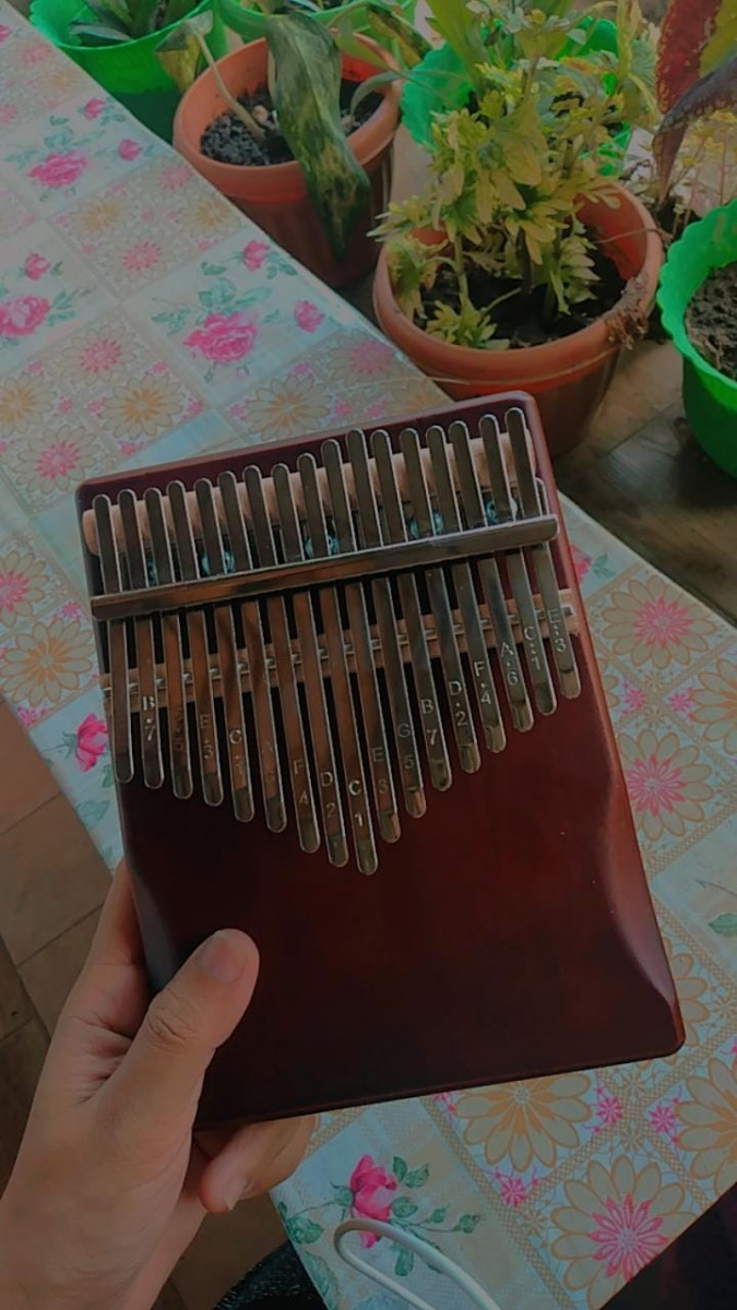 IMG_20210410_110454_809-508e0bb2 Kalimba, one the best companion. 