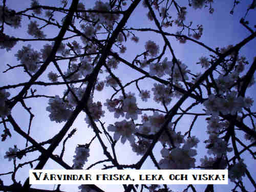 Varvindar-firska-8b9890f3 Vårvindar friska 