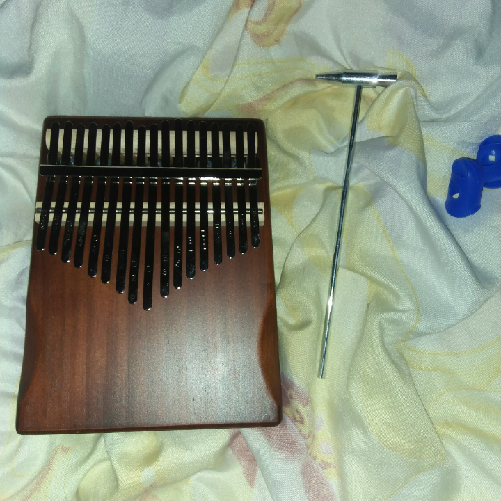 created_image_1617605852470-7a194df5 LOCKDOWN PERIOD BECAME FUN WITH KALIMBA  