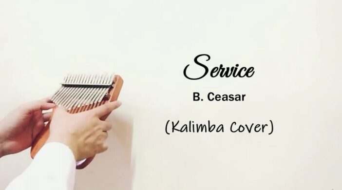 maxresdefault-2021-04-28T124356.006-cdc7a61c-702x390 Service - B. Ceasar 