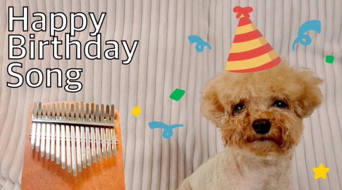 8EF410B8-15C6-446E-BA03-D3961DA2510C-b5ec146b-702x390 Happy Birthday To You 