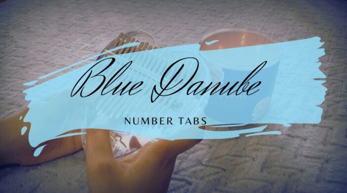 z2588753203222_170b5a3f360696a3a274db4de192459c-8e34c0c1-702x390 Blue Danube Waltz - Johann Strauss II  