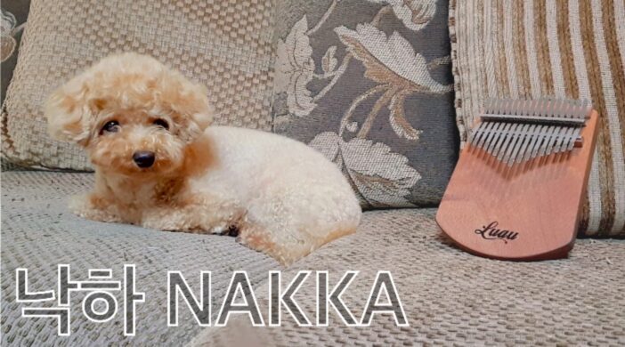 95E9DD68-9800-48BA-B22A-B6177D3B4128-d5630c77-702x390 NAKKA, AKMU with IU(낙하, 악동뮤지션・아이유) 