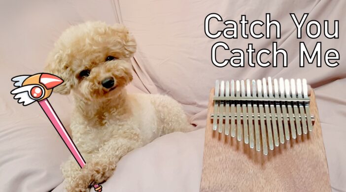 9673F96E-B463-44D2-9423-5FA706765352-e6d68e86-702x390 Cardcaptor Sakura - Catch you Catch me 카드캡터체리  