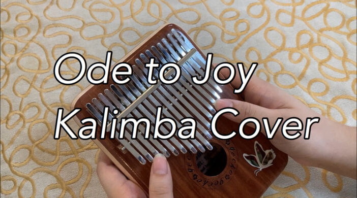 A4461BBB-F54D-4467-840C-723F4B48DB4B-9fc69fa9-702x390 Ode to Joy (Symphony No. 9)  
