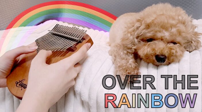 42EE5685-8230-4AE1-A9B0-C36F1773A87E-147593c3-702x390 Over the Rainbow 