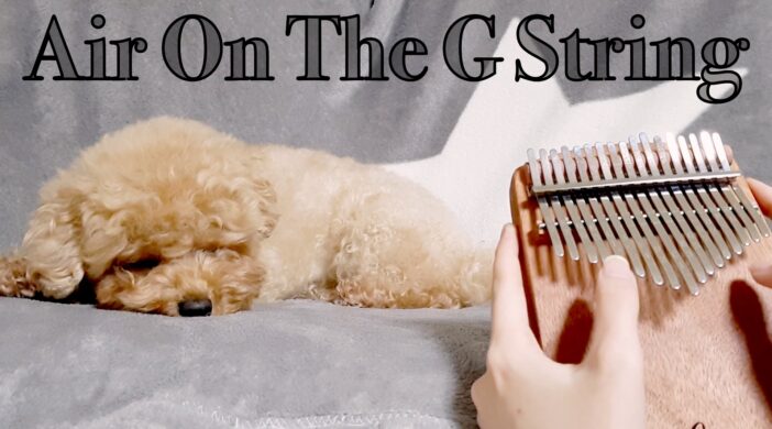 Air on the G string, Bach Intermediate Kalimba Tabs tutorial Classical B94C079D-E1E1-467B-BBEF-ED16CAD8554C-19787a8a-702x390 Air on the G string, Bach