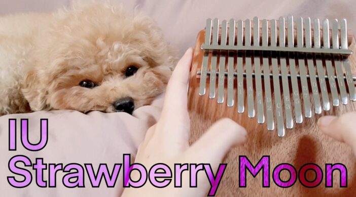09CF96E0-396C-4CD0-8B0E-F7559C23C8A5-df6154ef-702x390 Strawberry Moon, IU 아이유 