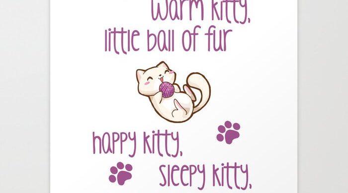 the-big-bang-theory-soft-kitty-prints-686833b5-700x390 Soft Kitty from Sheldon on The Big Bang Theory 