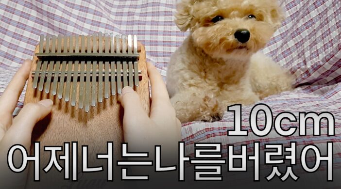 231CBE4F-2346-42E0-B9F7-75139A852F02-c6535fab-702x390 Yesterday You Left Me, 10cm. 어제 너는 나를 버렸어  