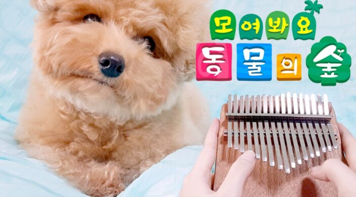 70F6EEEA-8E48-409C-B899-92A5D55B8C44-5a4f561e-702x390 Animal Crossing New Horizons 