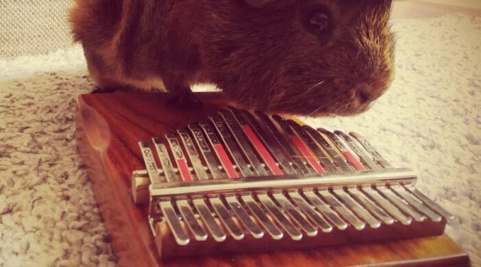 kalimba-lullaby-youtube-83437a90-702x390 Kalimba Lullaby 