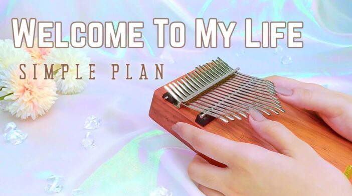 sddf-ebcce0b2-702x390 Welcome To My Life - Simple Plan 
