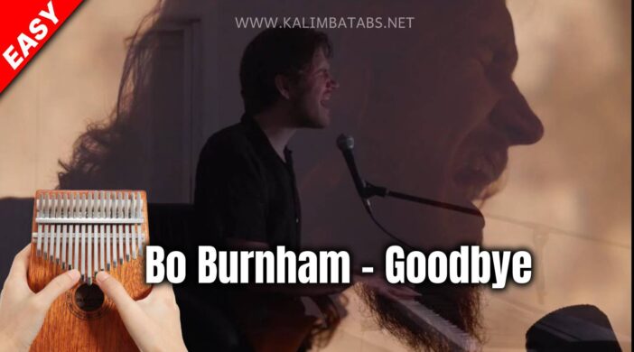 thumbnail-2021-11-08T145548.877-f1641ee1-702x390 👋 Bo Burnham - Goodbye  