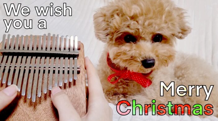 115A5FDE-5C8E-4172-921F-142FB5823A05-70fe1495-702x390 We Wish You a Merry Christmas(2 levels)  