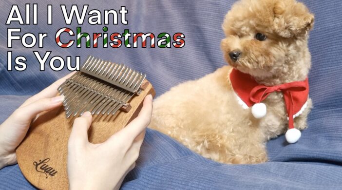 All I want for Christmas is you, Mariah Carey Intermediate Kalimba Tabs christmas carols 9D92609F-4B70-4AC1-AA1F-9C5D53261646-5f6458aa-702x390 All I want for Christmas is you, Mariah Carey