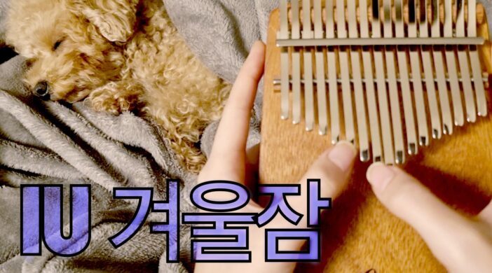 AB70B72B-FD1F-439C-8A7C-9DAD4276673D-d3468b77-702x390 IU Winter Sleep 아이유 겨울잠  