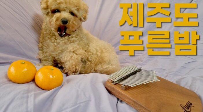 The Blue Night of Jeju 제주도 푸른밤 Easy Kalimba Tabs Intermediate Kalimba Tabs tutorial kpop 17 Keys 6D3D47D9-9563-4DF5-BF45-ACB20677DE0F-ae037cc1-702x390 The Blue Night of Jeju 제주도 푸른밤