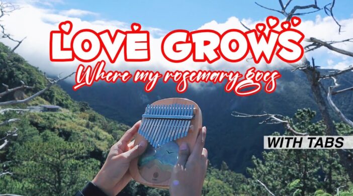 Love-Grows-Where-My-Rosemary-Goes-e10fb5b6-702x390 Love Grows (Where My Rosemary Goes) 
