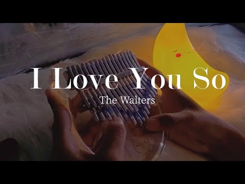 i-love-yuo-so-08123c9a The Walters - I Love You So  