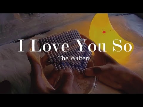 i-love-yuo-so-08123c9a The Walters - I Love You So 