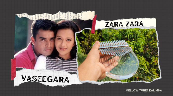 png_20220202_134955_0000-abbca247-702x390 Vaseegara / Zara zara 