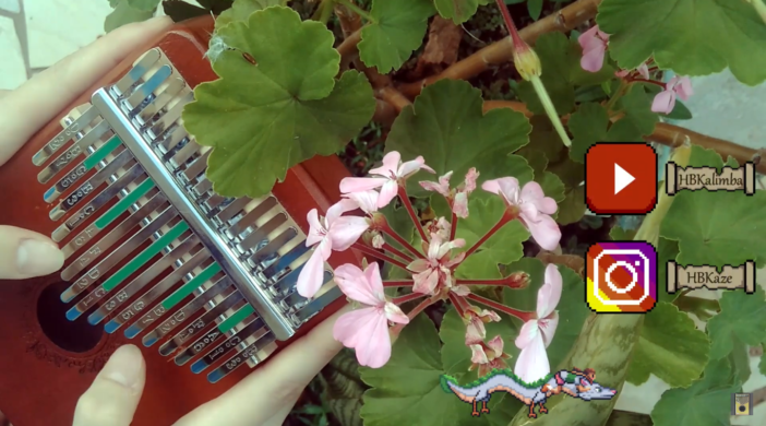 Captura-de-Tela-700-e98989f1-702x390 Reprise - Spirited Away - Joe Hisaishi [HBKALIMBA COVER]  